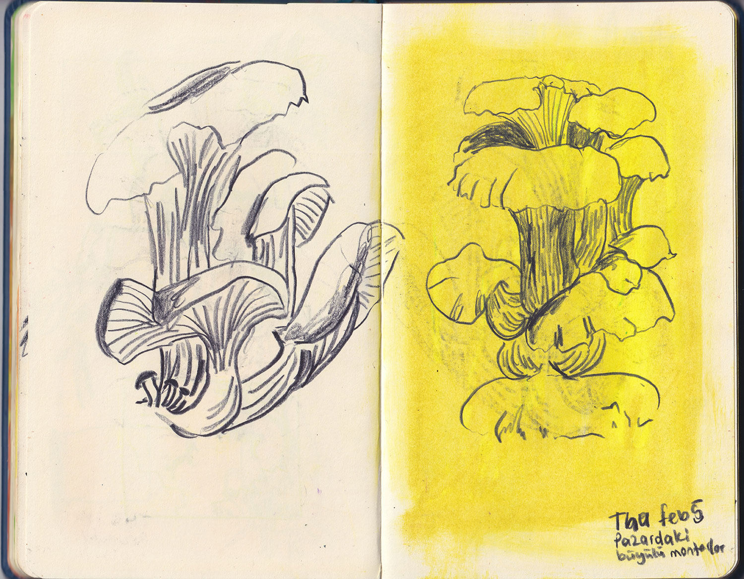 Sketchbook-05