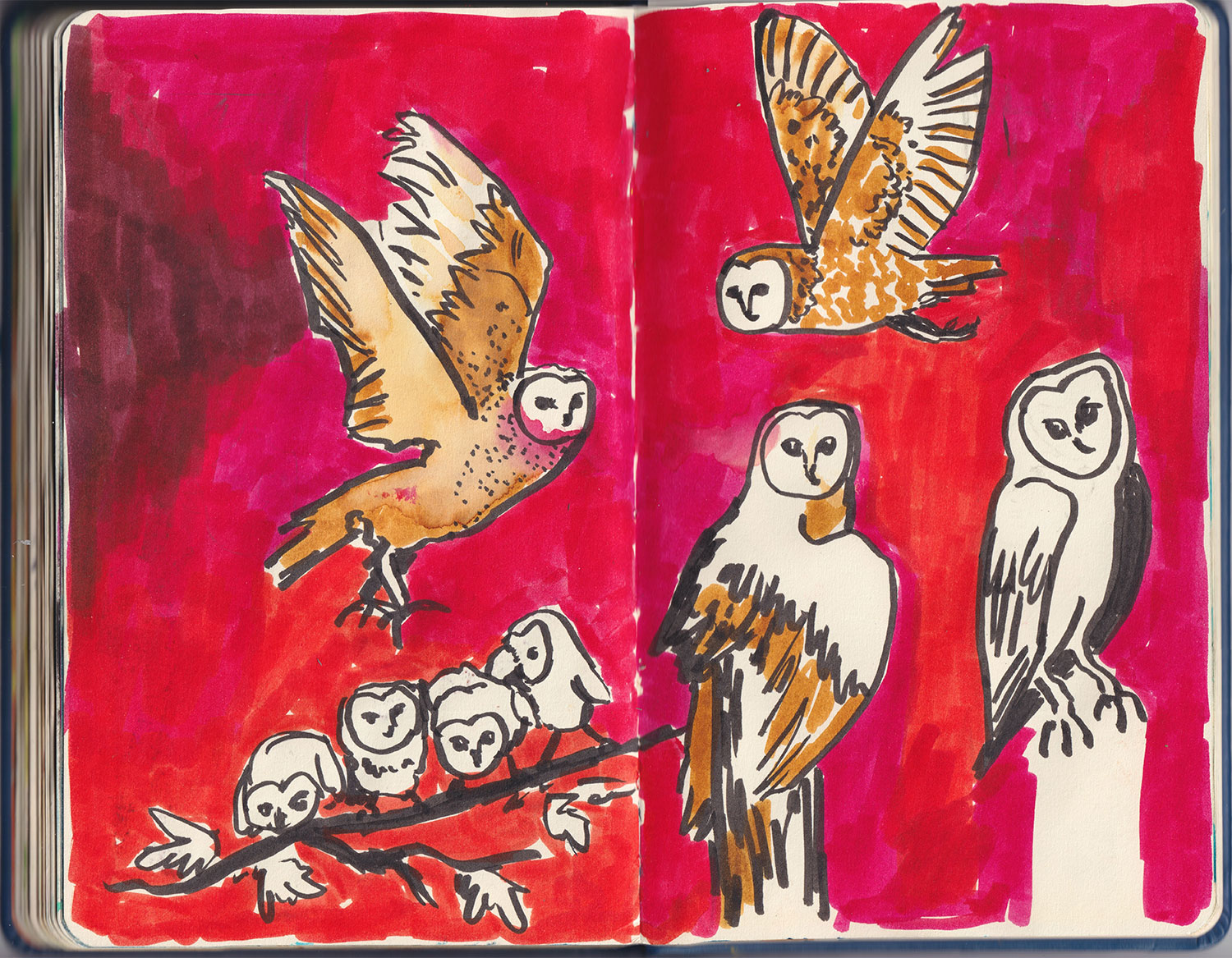 Sketchbook-09
