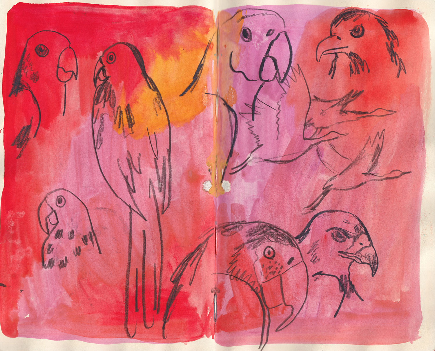 Sketchbook-13