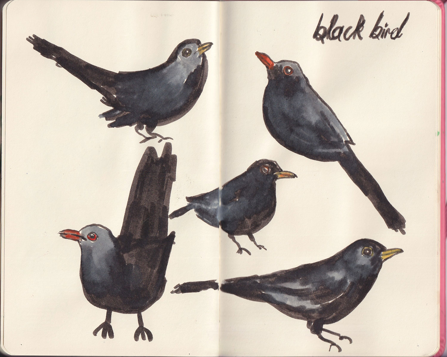 Sketchbook-14