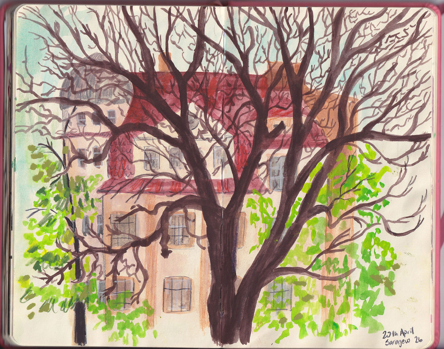 Sketchbook-15