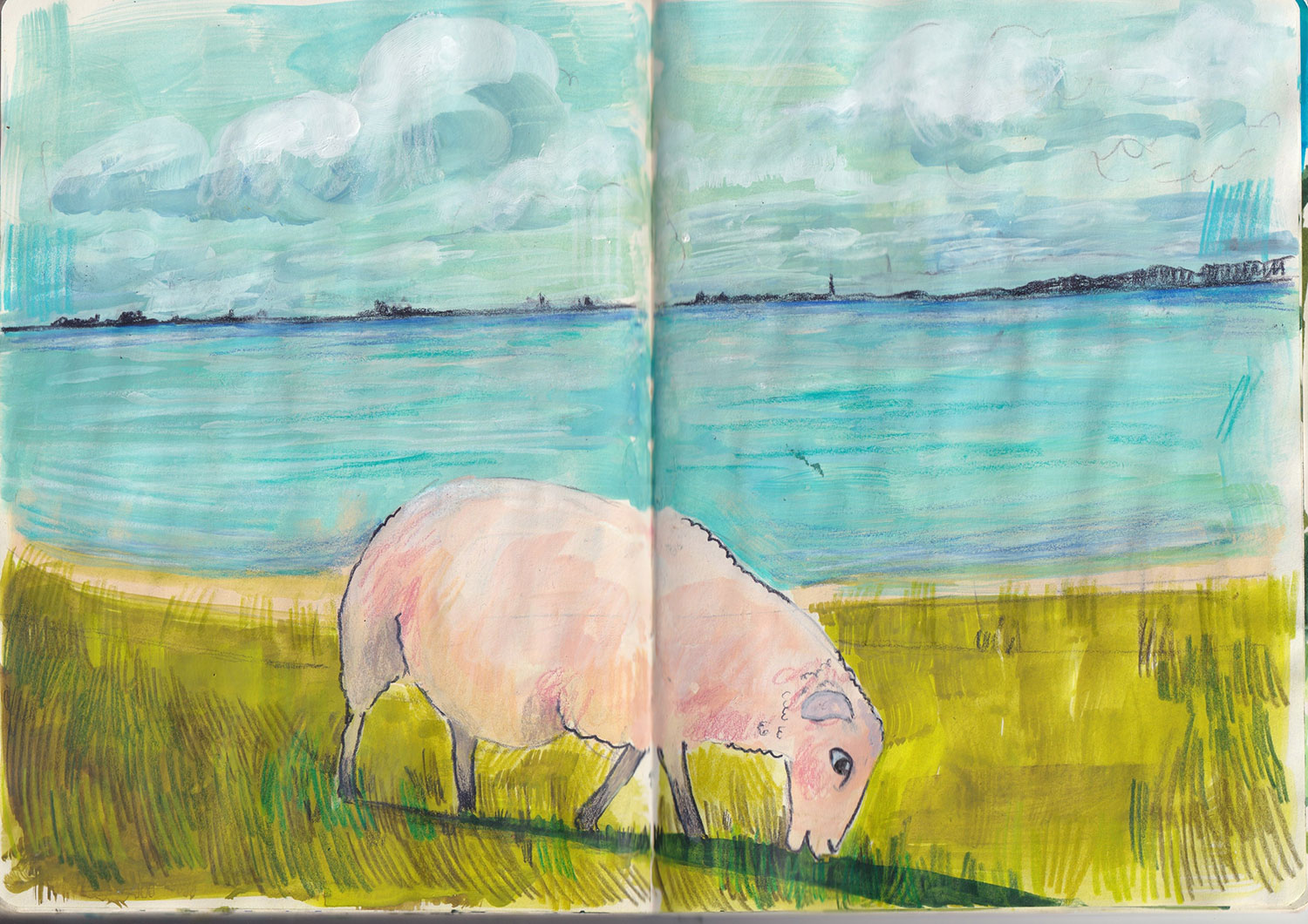 portfolio (18)