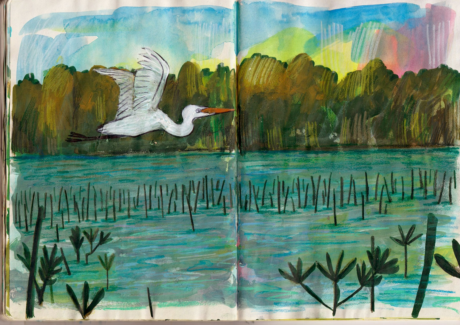 portfolio (20)